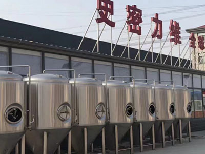 竞秀精酿啤酒设备厂—如何判断精酿啤酒设备的密封件需要更换？
